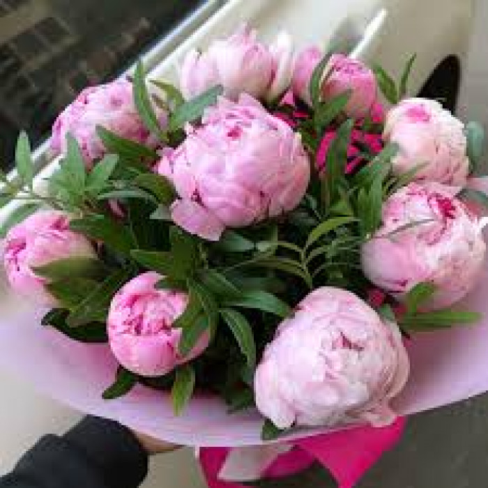 Пион древовидный в Щучинске