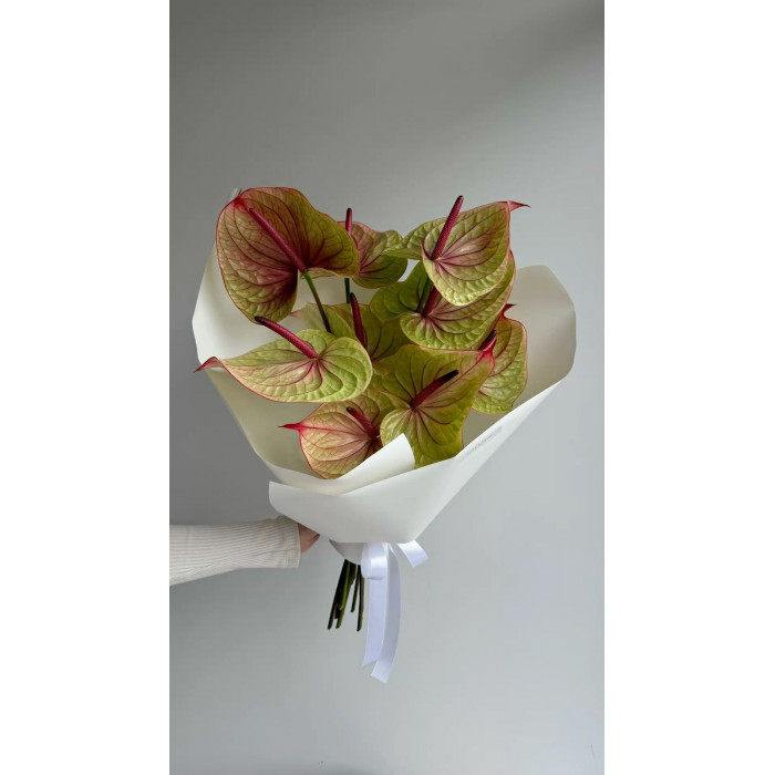 Антуриумы в Щучинске