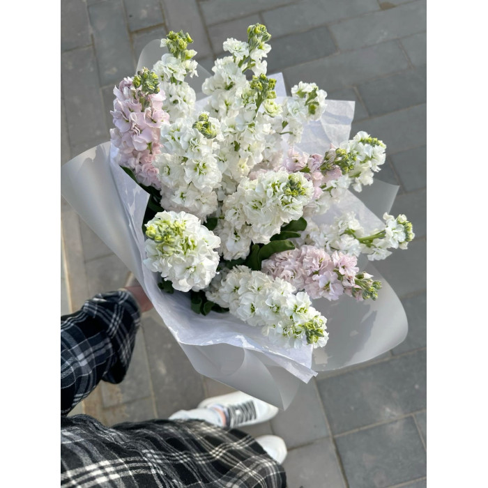 Маттиола в Щучинске