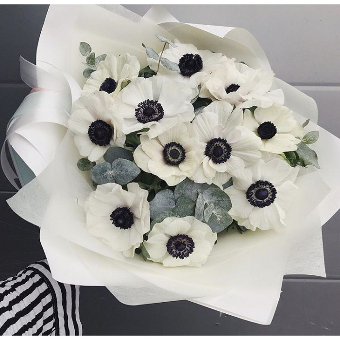 Анемоны в Щучинске