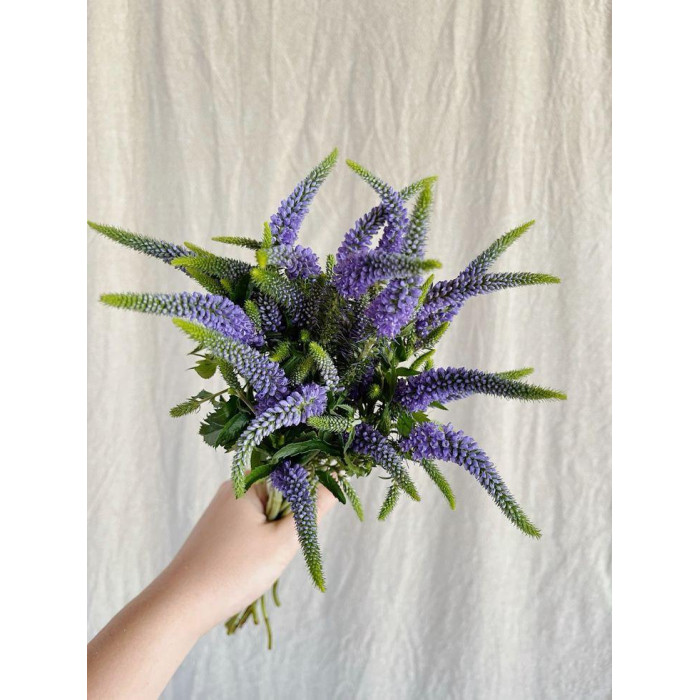 Вероника в Щучинске