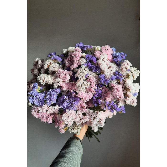 Статица (Лимониум) в Щучинске