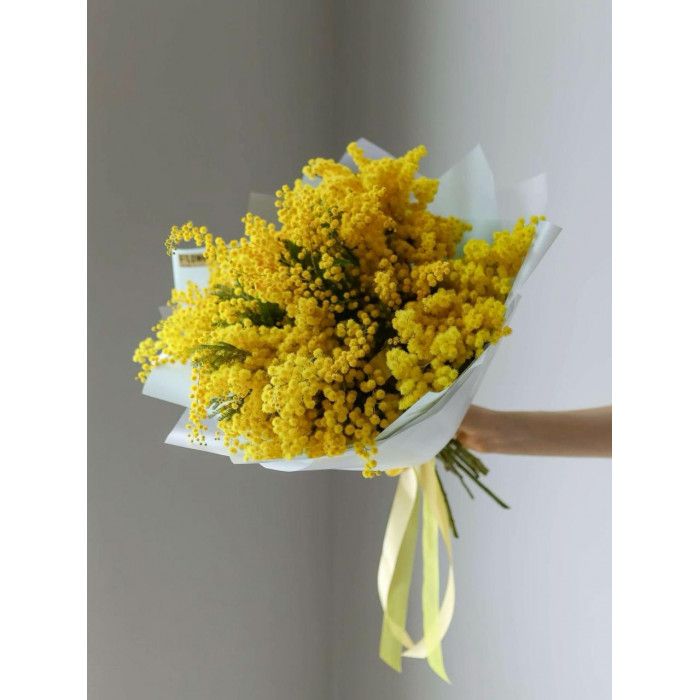 Мимоза в Щучинске