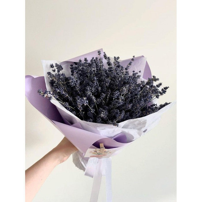 Лаванда в Щучинске