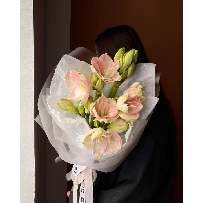 Амариллис в Щучинске