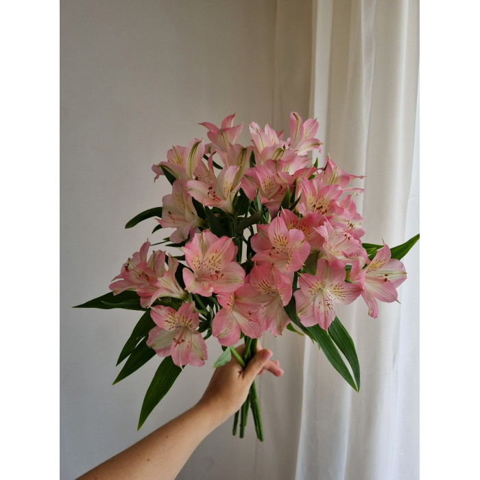 Альпиния в Щучинске