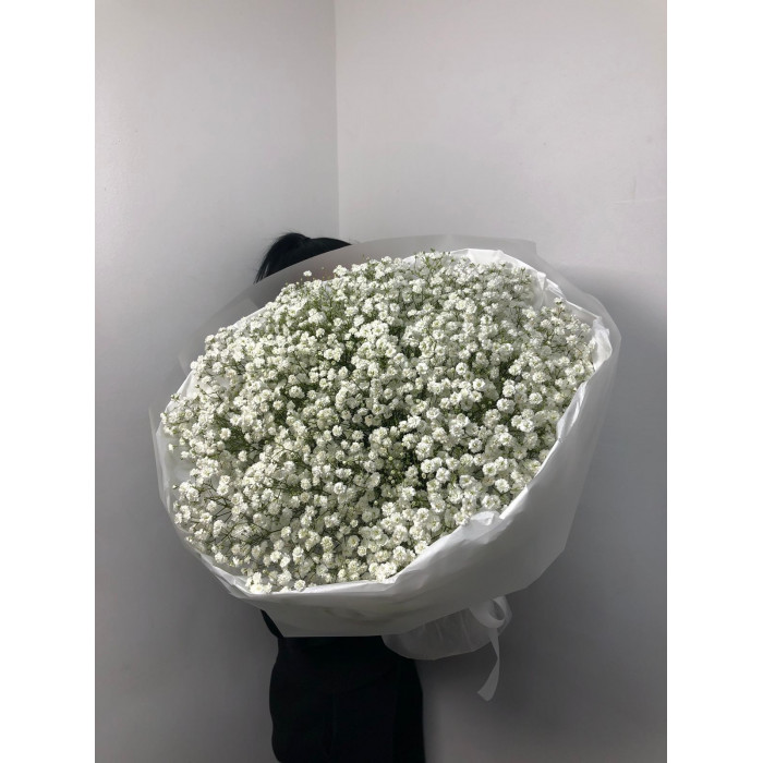 Гипсофила классическая в Щучинске