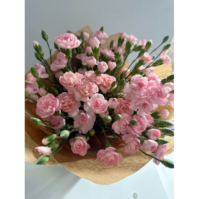 Кустовые гвоздики в Щучинске