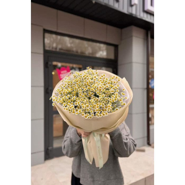 Танацетум в Щучинске