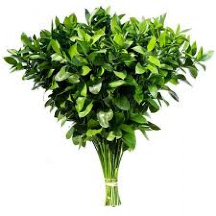 Рускус в Щучинске